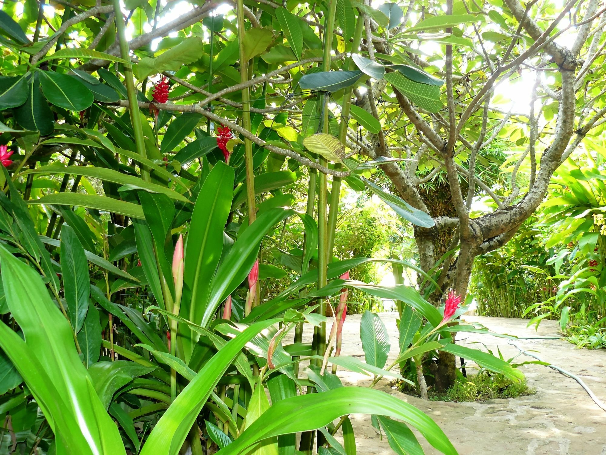Mealea Resort Kep Exterior photo